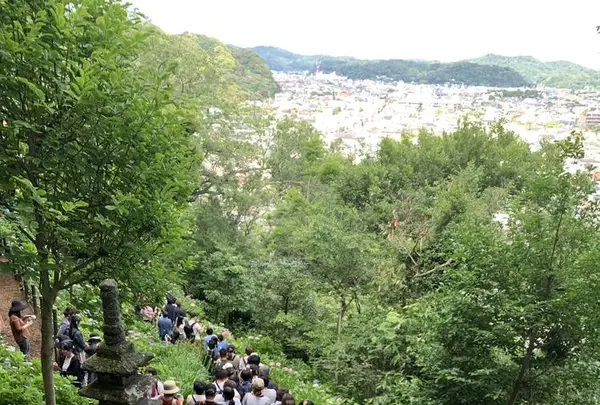 長谷寺の写真・動画_image_285522