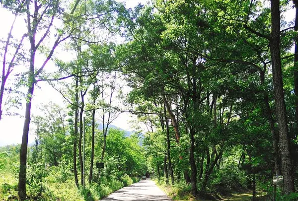 Good Old Land （グッドオールドランド）の写真・動画_image_285996