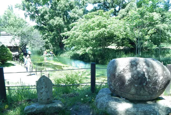 大王わさび農場の写真・動画_image_286012