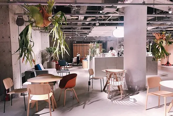 HAY TOKYOの写真・動画_image_286025