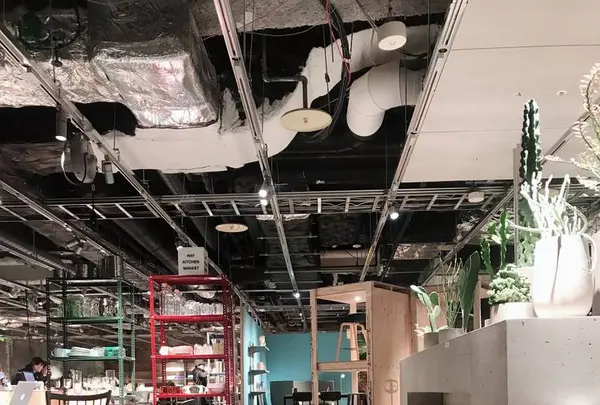 HAY TOKYOの写真・動画_image_286028