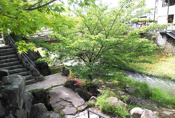 なわて 若返りの水の写真・動画_image_286089