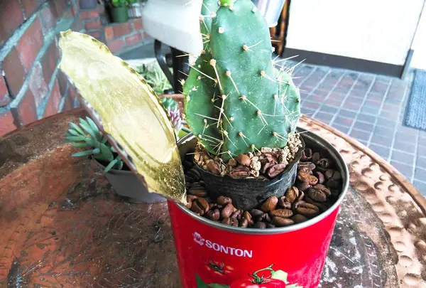 珈琲美学アベの写真・動画_image_286151