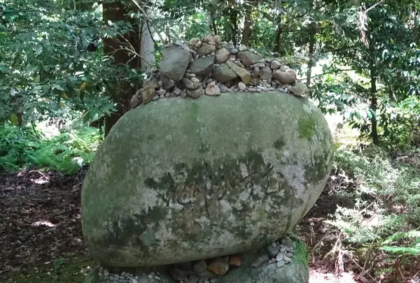 能登國一宮 気多大社の写真・動画_image_286159