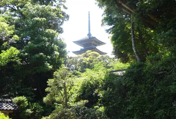 妙成寺の写真・動画_image_286186