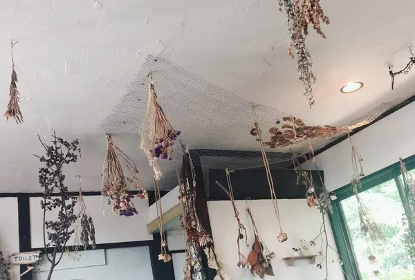 喫茶めがねの写真・動画_image_286276