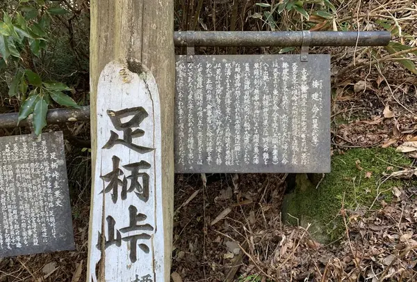 足柄峠の写真・動画_image_286534
