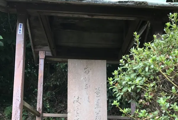 杖衝坂の写真・動画_image_286549