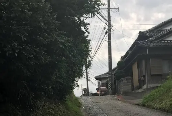 杖衝坂の写真・動画_image_286550