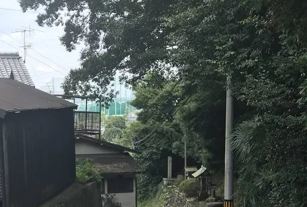 杖衝坂の写真・動画_image_286551