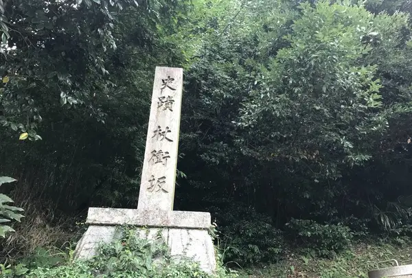 杖衝坂の写真・動画_image_286552