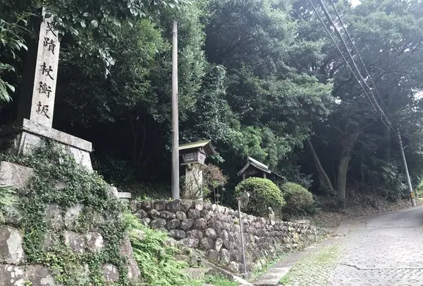 杖衝坂の写真・動画_image_286554