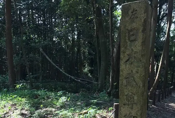 能褒野神社の写真・動画_image_286562