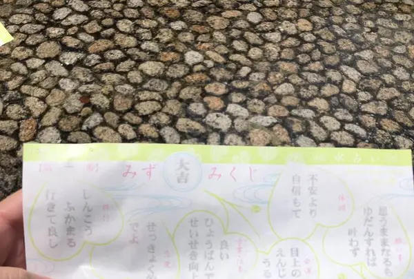 下鴨神社 西本殿の写真・動画_image_286660