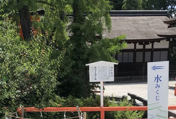 下鴨神社 西本殿の写真・動画_image_286666