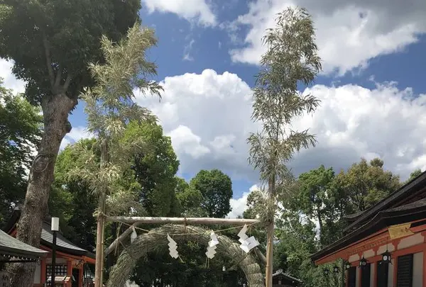 八坂神社の写真・動画_image_286681