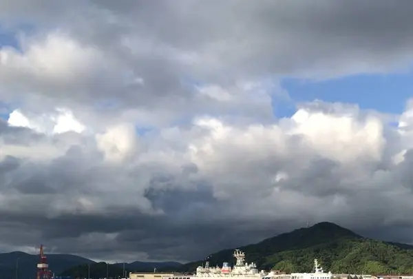 舞鶴港の写真・動画_image_286947