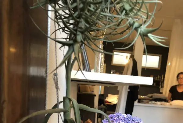 ＮＵの写真・動画_image_287304