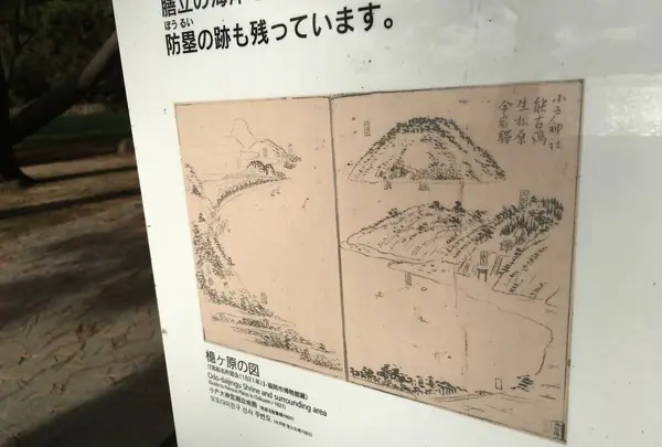 小戸公園の写真・動画_image_287737