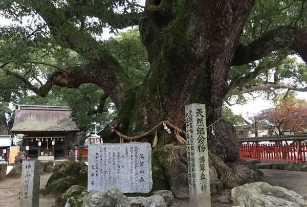 宇美八幡宮の写真・動画_image_287753