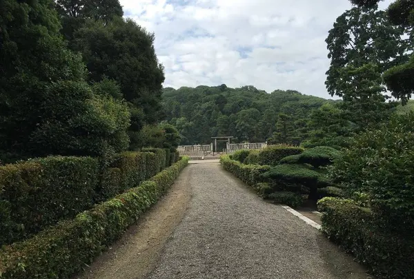 応神陵古墳の写真・動画_image_287762