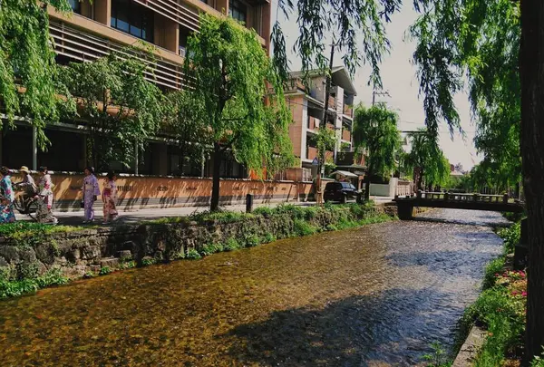 白川カフェ（SHIRAKAWA CAFE）の写真・動画_image_288042