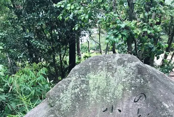 文学のこみちの写真・動画_image_288254