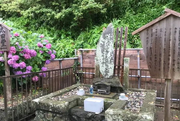 誕生寺の写真・動画_image_288265