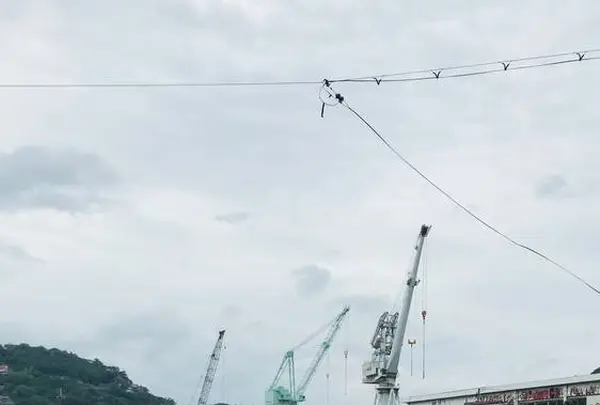 福本渡船渡場（向島）の写真・動画_image_288528
