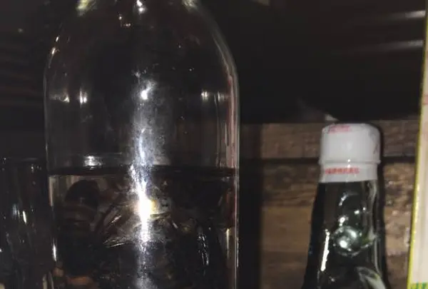 獣肉酒家 米とサーカスの写真・動画_image_288853