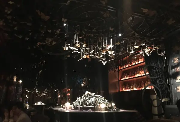 ティル・ナ・ノーグ （【旧店名】アイアンフェアリーズ ギンザ）の写真・動画_image_288873