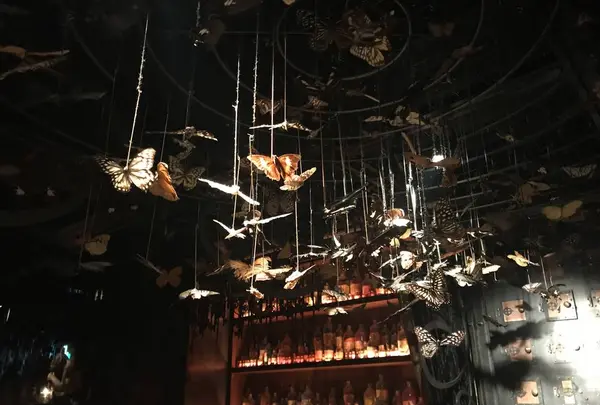 ティル・ナ・ノーグ （【旧店名】アイアンフェアリーズ ギンザ）の写真・動画_image_288874