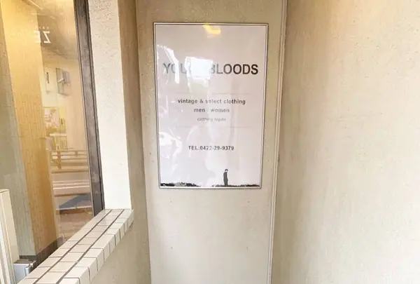 YOUNG BLOODSの写真・動画_image_288885