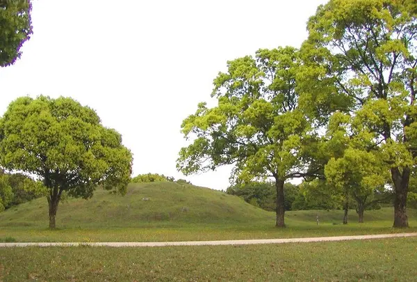 記紀の道の写真・動画_image_288898