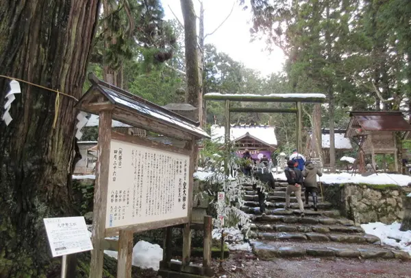 元伊勢内宮皇大神社の写真・動画_image_288997
