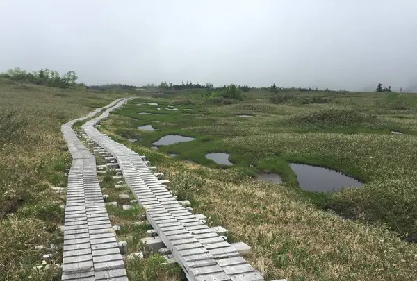 弥陀ヶ原の写真・動画_image_289589