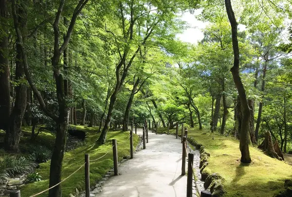 銀閣寺(東山慈照寺)の写真・動画_image_289650