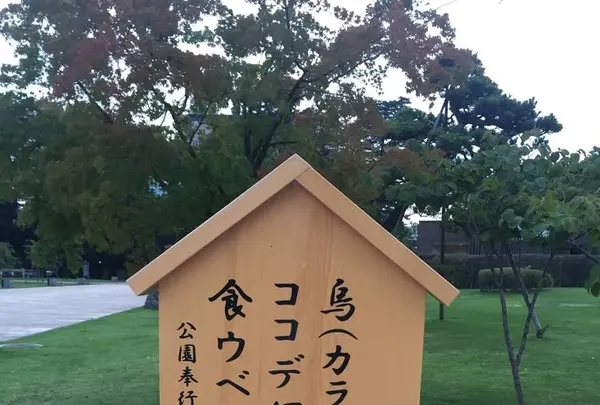 富山市役所展望塔の写真・動画_image_289672