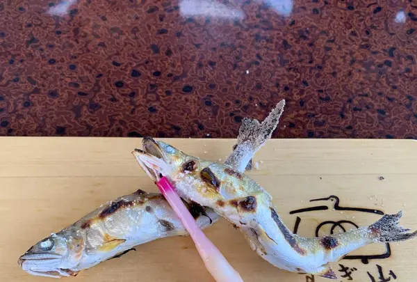 長良川鵜飼観覧船の写真・動画_image_289753