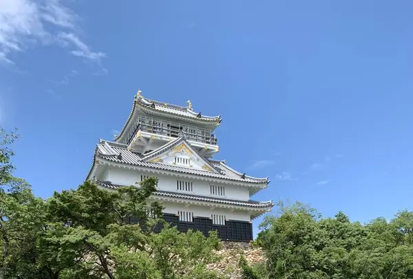 岐阜城の写真・動画_image_289764