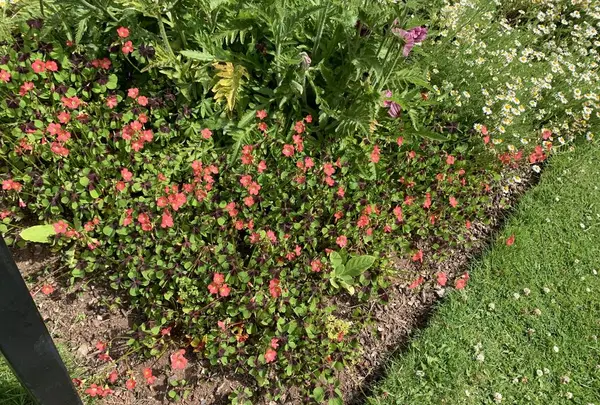 トール・アビー・ミュージアムの写真・動画_image_289973