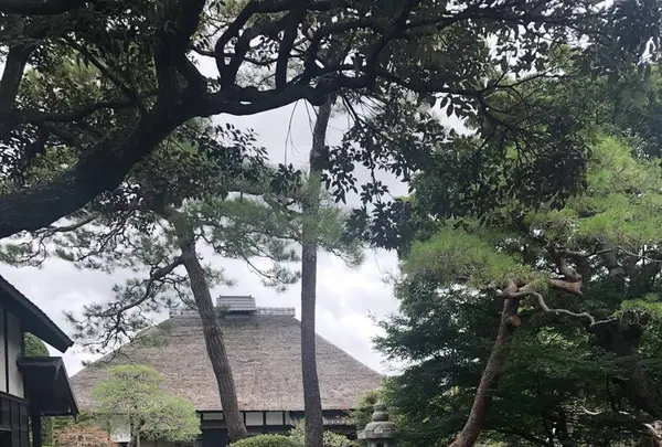 蔵日和の写真・動画_image_290017