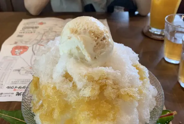 竹富島ぱーらー願寿屋・島宿願寿屋の写真・動画_image_290159