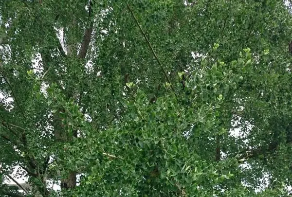 木喰五智館の写真・動画_image_290304