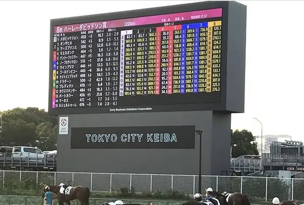 大井競馬場の写真・動画_image_290311