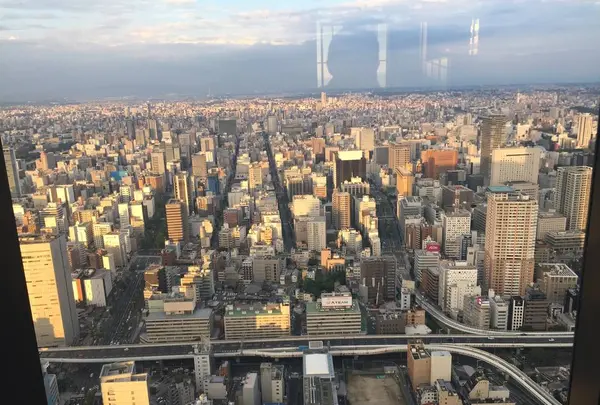 スカイプロムナードの写真・動画_image_290366