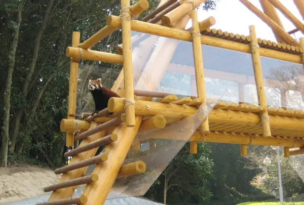 とべ動物園の写真・動画_image_290650