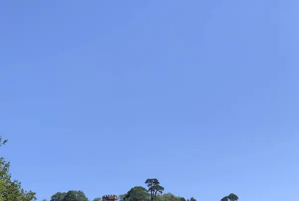 Hawkstone Park Folliesの写真・動画_image_290709