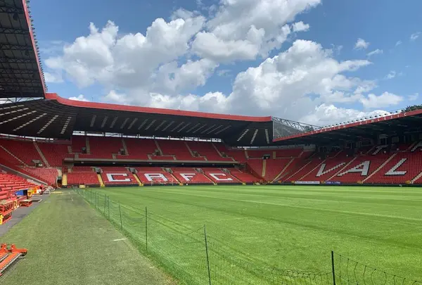 ザ・バレーの写真・動画_image_291185