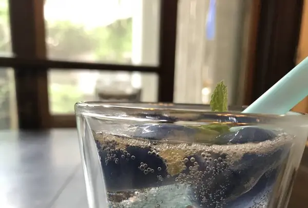 シェ・サマンサの写真・動画_image_291259